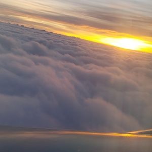 Meet your Posher, Blake